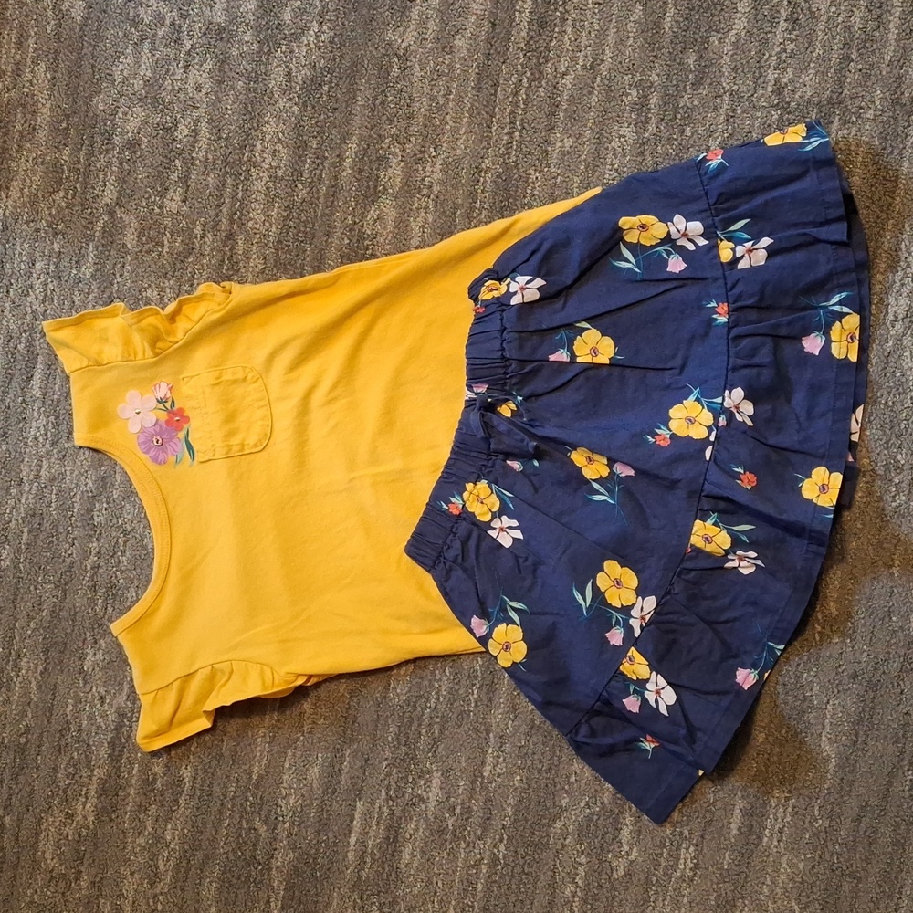 Carter's kid skort and shirt set
